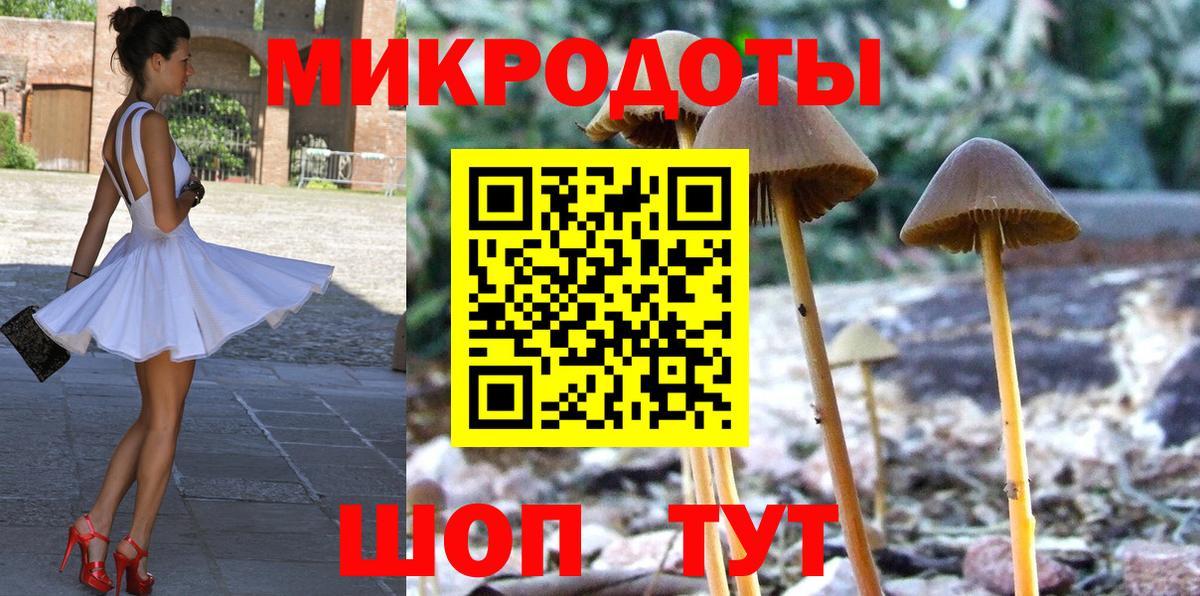 Псилоцибиновые грибы MAGIC MUSHROOMS  Вход с VPN  Кудрово 